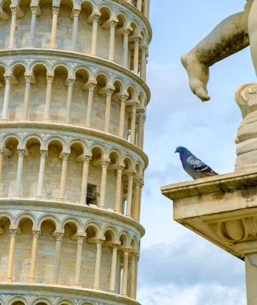 Livorno to Pisa Tour 2026